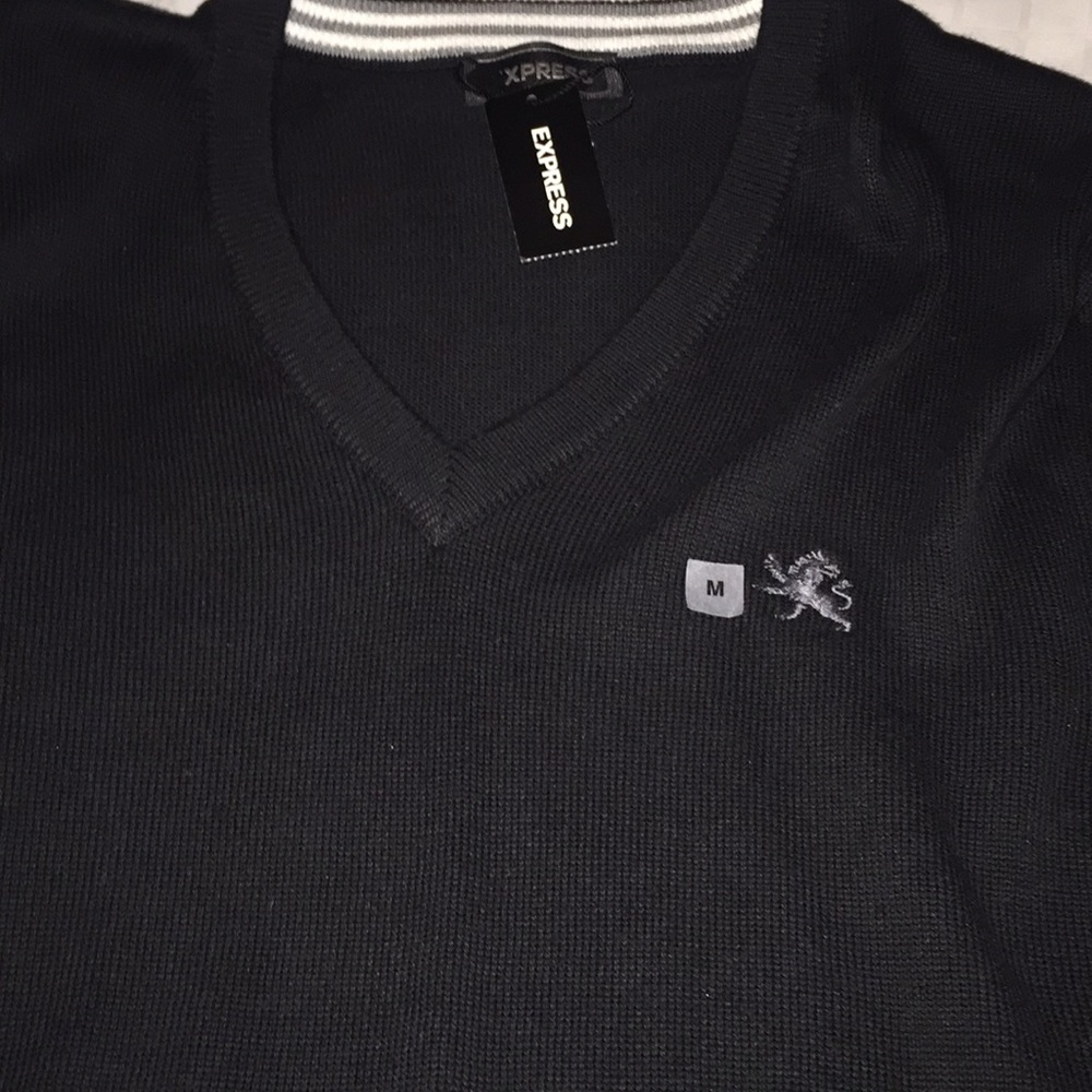 Express navy v neck sweater